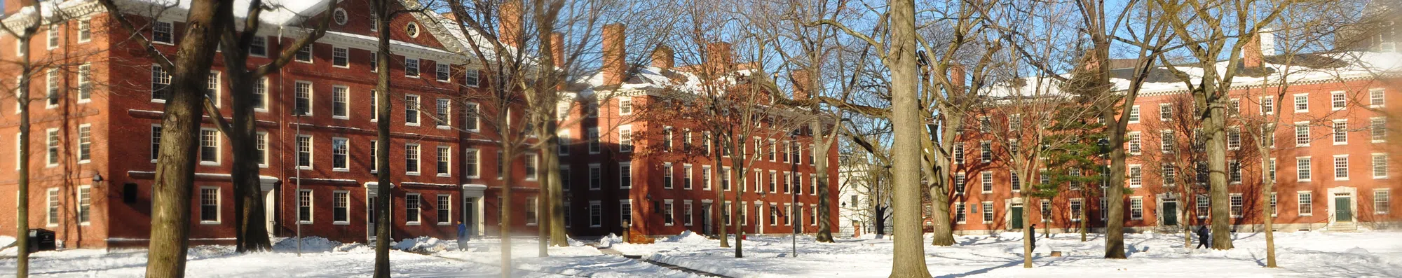 Teste: qual curso gratuito e online de Harvard você deve fazer?