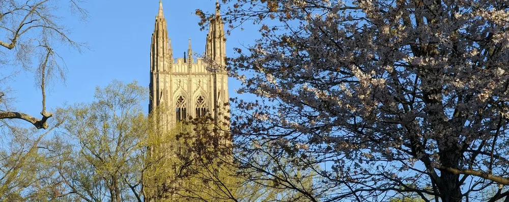 Bolsa para graduação nos EUA: estude na Duke University com tudo pago