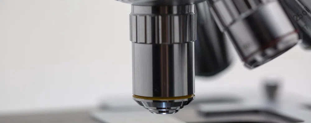 Biologia nos EUA: melhores faculdades