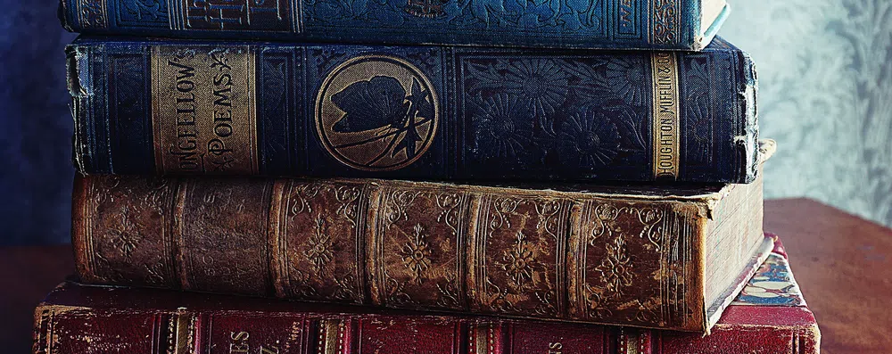 Faculdade dos famosos: 8 celebridades que estudaram Literatura