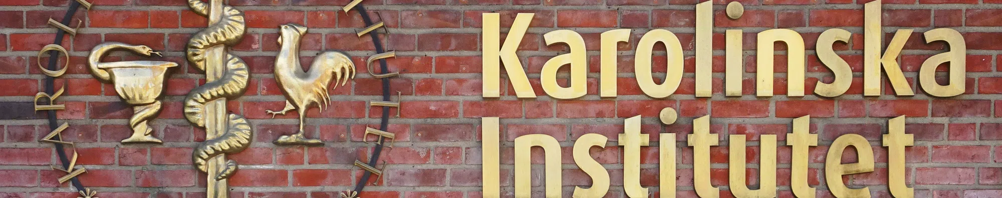 Instituto Karolinska: uma das melhores do mundo em Medicina