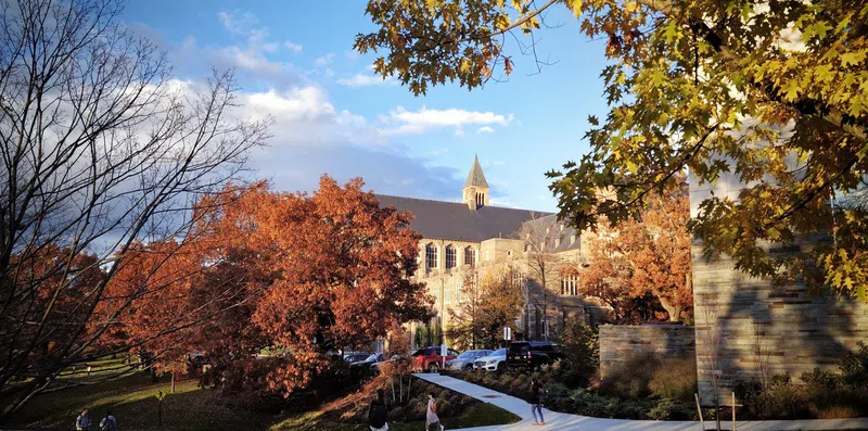 Preciso estudar em uma Ivy League para ser bem-sucedido?