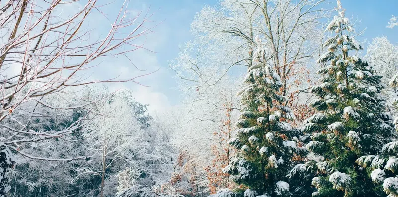 Morar em país com inverno rigoroso: o que muda na rotina