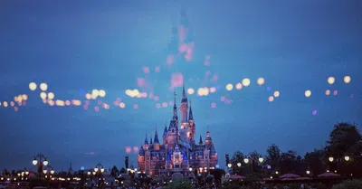 A verdade sobre o Disney College Program para brasileiros