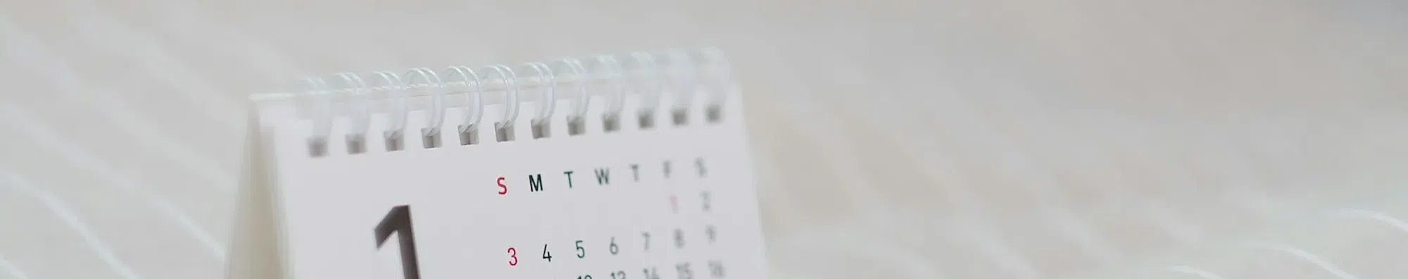 Bolsas que abrem inscrições no começo do ano: como se preparar