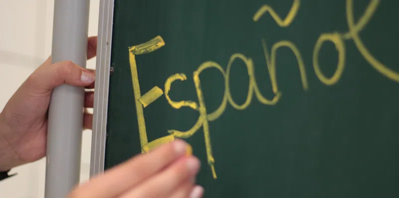 TESTE: Selecione a tradução correta dessas palavras em espanhol